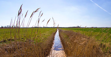 Sustainable Drainage