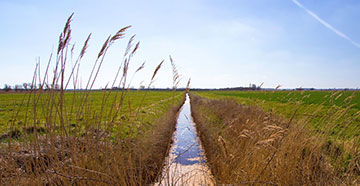 Green Infrastructure